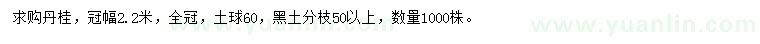 求購冠幅2.2米丹桂