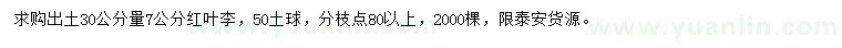 求購(gòu)出土30公分量7公分紅葉李