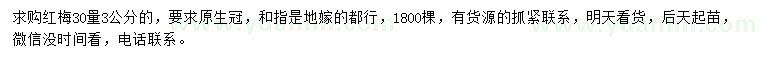 求購30量3公分紅梅