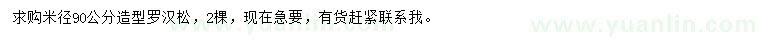 求購米徑90公分造型羅漢松