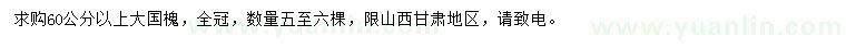 求購60公分以上大國槐