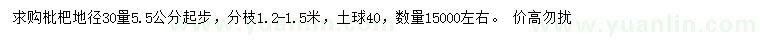 求購30量5.5公分枇杷樹