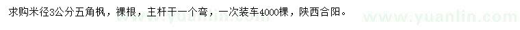 求購米徑3公分五角楓