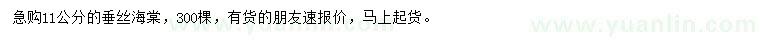 求購11公分垂絲海棠