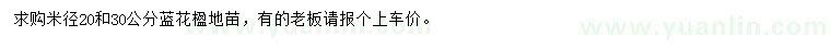 求購(gòu)米徑20、30公分藍(lán)花楹
