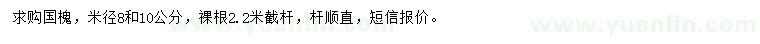 求購米徑8、10公分國(guó)槐