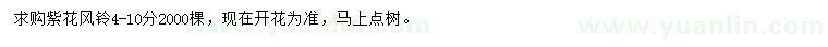 求購(gòu)4-10公分紫花風(fēng)鈴