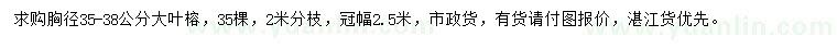 求購胸徑35-38公分大葉榕