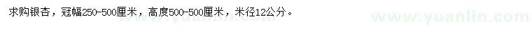 求購米徑12公分銀杏