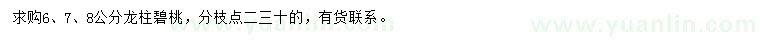 求購(gòu)6、7、8公分龍柱碧桃