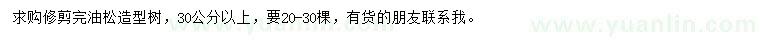 求購(gòu)30公分以上油松造型樹(shù)