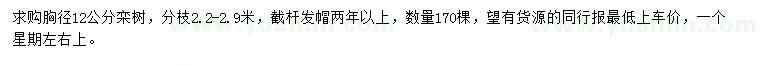 求購胸徑12公分欒樹