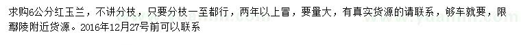 求購6公分紅玉蘭