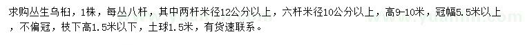 求購高9-10米叢生烏桕