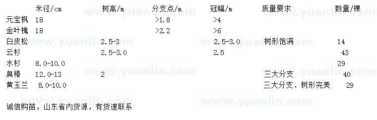 求購元寶楓、金葉槐、白皮松等