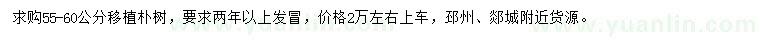 求購55-60公分移植樸樹