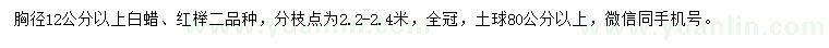 求購胸徑12公分以上白蠟、紅櫸