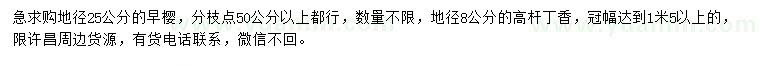 求購地徑25公分早櫻、地徑8公分高桿丁香
