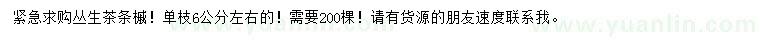 求購叢生茶條槭