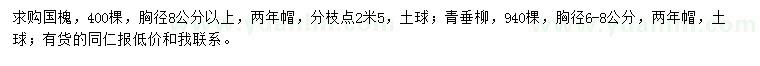 求購(gòu)胸徑8公分以上國(guó)槐、胸徑6-8公分青垂柳