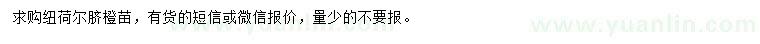 求購(gòu)紐荷爾臍橙苗