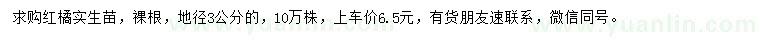 求購地徑3公分紅橘實生苗