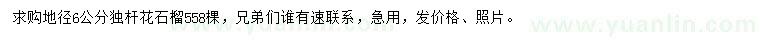 求購(gòu)地徑6公分獨(dú)桿花石榴