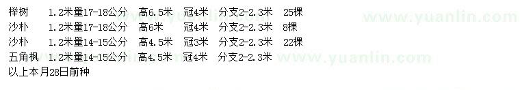 求購櫸樹、沙樸、五角楓