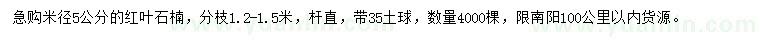 求購米徑5公分紅葉石楠