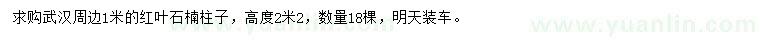 求購1米紅葉石楠柱子