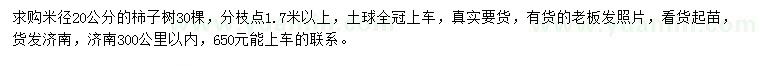 求購(gòu)米徑20公分柿子樹(shù)