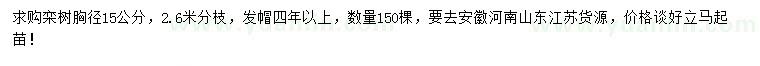 求購胸徑15公分欒樹