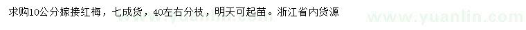 求購10公分嫁接紅梅