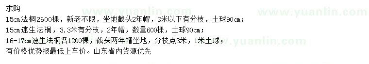 求購15公分法桐、15、16-17公分速生法桐