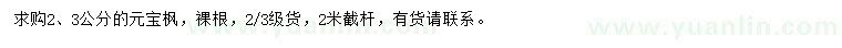 求購2、3公分元寶楓