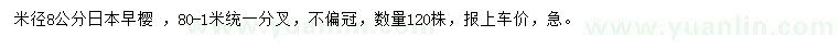 求購米徑8公分日本早櫻 