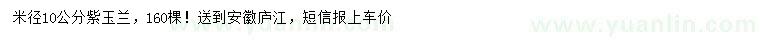 求購米徑10公分紫玉蘭