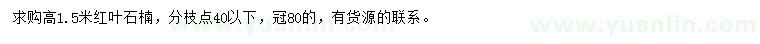 求購高1.5米紅葉石楠