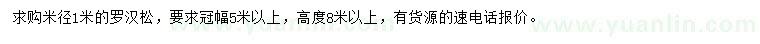 求購米徑1米羅漢松