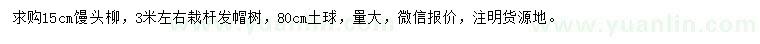 求購15公分饅頭柳