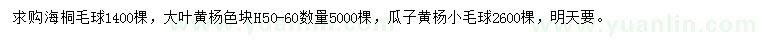 求購(gòu)海桐毛球、大葉黃楊、瓜子黃楊小毛球