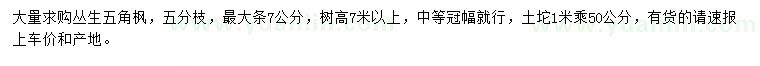 求購高7米以上叢生五角楓