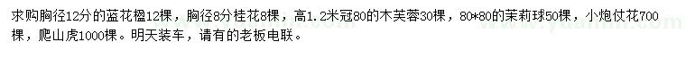 求購藍(lán)花楹、桂花、木芙蓉等