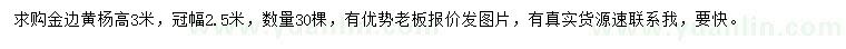 求購高3米金邊黃楊