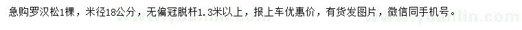 求購(gòu)米徑18公分羅漢松