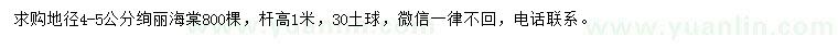 求購地徑4-5公分絢麗海棠
