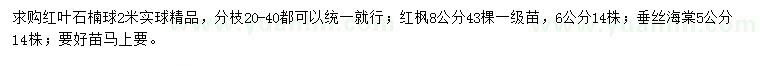 求購紅葉石楠球、紅楓、垂絲海棠