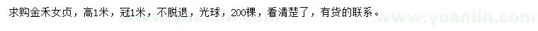 求購高1米金禾女貞