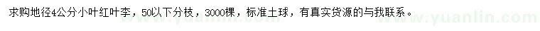 求購地徑4公分小葉紅葉李