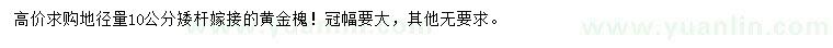 求購地徑量10公分黃金槐